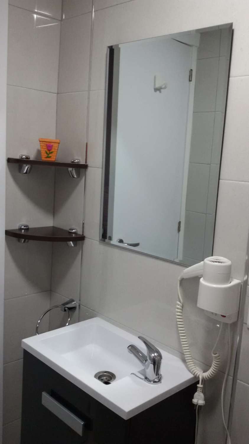 Estudio en venta en Arroyo de la Miel (Benalmádena)